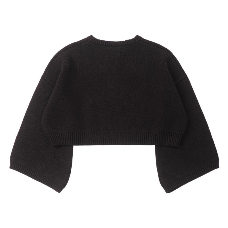 Paonia Flare Sleeves Knitted Top