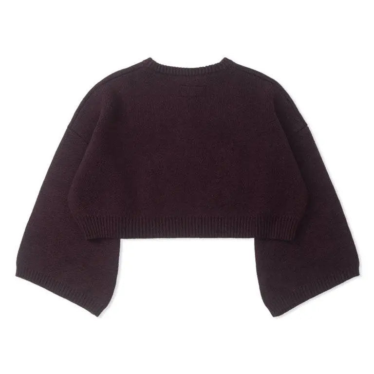 Paonia Flare Sleeves Knitted Top - AlphaStyle